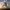 https://res.cloudinary.com/billionhands/image/upload/v1775193535/items/jsiaxptsb0yighmwvuan.avif-1cover