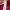 Amanda Seyfried's Atelier Versace dress (Golden Globes 2026) cover