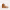 https://res.cloudinary.com/billionhands/image/upload/v1775193592/items/kcpelienwihmgoop9ifp.webp-2cover