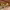 https://res.cloudinary.com/billionhands/image/upload/v1775193632/items/n7crd3jux9zxzh9fbp5p.jpg-0cover