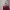 https://res.cloudinary.com/billionhands/image/upload/v1775193698/items/huftmyxyrej9cadxeepf.jpg-0cover