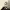 https://res.cloudinary.com/billionhands/image/upload/v1775193830/items/py85fpajt95a2fly4qvg.webp-0cover