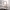 https://res.cloudinary.com/billionhands/image/upload/v1775193971/items/sfh3nhazsiwkaespvkb5.avif-0cover