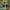 https://res.cloudinary.com/billionhands/image/upload/v1775194005/items/llquqh00wfsfga6xcf60.jpg-2cover