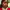 https://res.cloudinary.com/billionhands/image/upload/v1775194123/items/r8hid7xb4zkxyxpyjntu.jpg-2cover