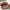 https://res.cloudinary.com/billionhands/image/upload/v1775194272/items/lsqtvxthdnrsft4iunvq.jpg-3cover