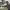 https://res.cloudinary.com/billionhands/image/upload/v1775194449/items/u5zgzfw1zqlo8unhvscy.jpg-2cover