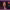 https://res.cloudinary.com/billionhands/image/upload/v1775194503/items/eyoioycw7skredhpcpnw.jpg-0cover