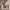 https://res.cloudinary.com/billionhands/image/upload/v1775194506/items/voxfc3bpypxwr3smjsdn.webp-0cover