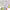 https://res.cloudinary.com/billionhands/image/upload/v1775194509/items/ahejj0sqursovxecnadt.jpg-3cover