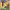 https://res.cloudinary.com/billionhands/image/upload/v1775194516/items/amyufmzvitlex8xrvg3q.jpg-3cover