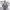 https://res.cloudinary.com/billionhands/image/upload/v1775194517/items/c9ictzkf27gpbvg6zdda.jpg-1cover