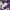 https://res.cloudinary.com/billionhands/image/upload/v1775194565/items/skq4dt3pzagy1kp9rghf.webp-1cover