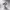 https://res.cloudinary.com/billionhands/image/upload/v1775194589/items/ti0wtpmpootxqb4ezg4s.webp-3cover