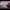 https://res.cloudinary.com/billionhands/image/upload/v1775194684/items/s1akjp9orpa91orcvgwb.jpg-2cover