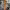 Heidi Klum's Dress (nude latex) (2026) cover