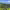 Parque Nacional Carara (Orotina, Alajuela) cover