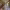 https://res.cloudinary.com/billionhands/image/upload/v1775194986/items/wzjvfzrrzhynjtdgbvct.webp-3cover