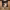 https://res.cloudinary.com/billionhands/image/upload/v1775195091/items/nrozcu5i92d5eefc8va3.webp-3cover