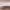 New Photography 2025: Lines of Belonging (2025) cover