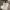 https://res.cloudinary.com/billionhands/image/upload/v1775195273/items/clbafiblqlbhqeyizcuo.jpg-0cover