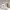 https://res.cloudinary.com/billionhands/image/upload/v1775195274/items/vrp1it8wmosggyk8cwjr.jpg-1cover