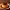 Flan (Spain & Latin America) cover