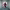 https://res.cloudinary.com/billionhands/image/upload/v1775195437/items/vv0xqovrptfdoe9boiiw.jpg-0cover
