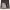 https://res.cloudinary.com/billionhands/image/upload/v1775195505/items/n7enlwtfmax3eyx4wgsk.webp-2cover