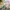 https://res.cloudinary.com/billionhands/image/upload/v1775195699/items/tjgvdse1qlagrsx3uvb2.png-3cover