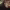 Olivia Rodrigo - drivers license (2021) cover