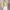 https://res.cloudinary.com/billionhands/image/upload/v1775195892/items/jsj8vlcne3gzig655bss.jpg-2cover