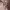 https://res.cloudinary.com/billionhands/image/upload/v1775195901/items/odvvskhtf2pn0pllayoo.jpg-2cover