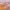 https://res.cloudinary.com/billionhands/image/upload/v1775195930/items/ijeoaa8wk3ijbywr3jcp.png-0cover