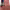https://res.cloudinary.com/billionhands/image/upload/v1775195954/items/a8vhdw6wnyb8y7acptmv.webp-2cover
