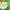 https://res.cloudinary.com/billionhands/image/upload/v1775195987/items/nmvmo6neiehp8li6nnpe.webp-2cover