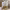 https://res.cloudinary.com/billionhands/image/upload/v1775195989/items/mvqtx2dsqqpszi9grrhc.jpg-3cover