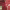 https://res.cloudinary.com/billionhands/image/upload/v1775196154/items/vjpsw1v6vqahrsoqocbe.webp-0cover