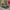 https://res.cloudinary.com/billionhands/image/upload/v1775196287/items/y1jrikb2xfcy4dqk8qae.png-0cover
