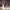 https://res.cloudinary.com/billionhands/image/upload/v1775196303/items/o9hyk1ua7rczf1z3tpbn.jpg-0cover