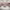 https://res.cloudinary.com/billionhands/image/upload/v1775196306/items/hryfxnje1tmmtql47815.webp-1cover