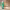 https://res.cloudinary.com/billionhands/image/upload/v1775196663/items/tcgbg3e11cgg52hxv0mq.webp-3cover
