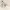 https://res.cloudinary.com/billionhands/image/upload/v1775196818/items/tdrrymqwfjtk3hmxzg13.jpg-0cover