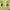 https://res.cloudinary.com/billionhands/image/upload/v1775196834/items/vjms7433p1xqfdqhx1vo.jpg-2cover