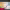 https://res.cloudinary.com/billionhands/image/upload/v1775197114/items/kntrc628or7bewboiecc.webp-1cover