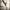 https://res.cloudinary.com/billionhands/image/upload/v1775197166/items/xek5xullguokv1nfufof.jpg-3cover
