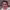 https://res.cloudinary.com/billionhands/image/upload/v1775197244/items/ppqhohhbvknwxtetzenf.webp-1cover