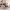 https://res.cloudinary.com/billionhands/image/upload/v1775197397/items/m67blcfe7klidjgrdyfw.webp-2cover