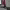 https://res.cloudinary.com/billionhands/image/upload/v1775197402/items/sq7ttgigqzztftwrokq8.jpg-3cover