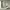 https://res.cloudinary.com/billionhands/image/upload/v1775197407/items/oejq1ngqii66z9cotvon.jpg-2cover